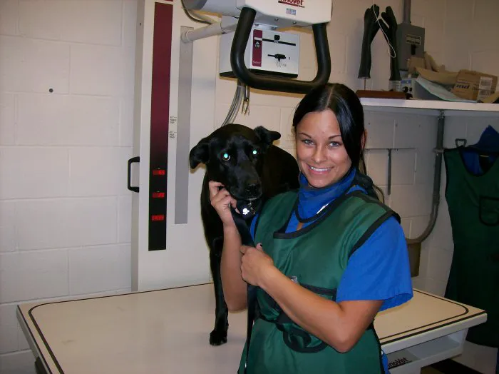 VCA Ocean Beach Animal Hospital 8