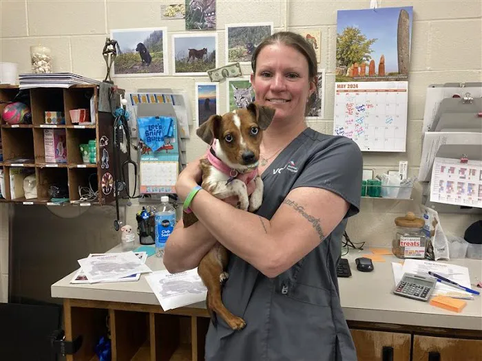 VCA Ocean Beach Animal Hospital 4