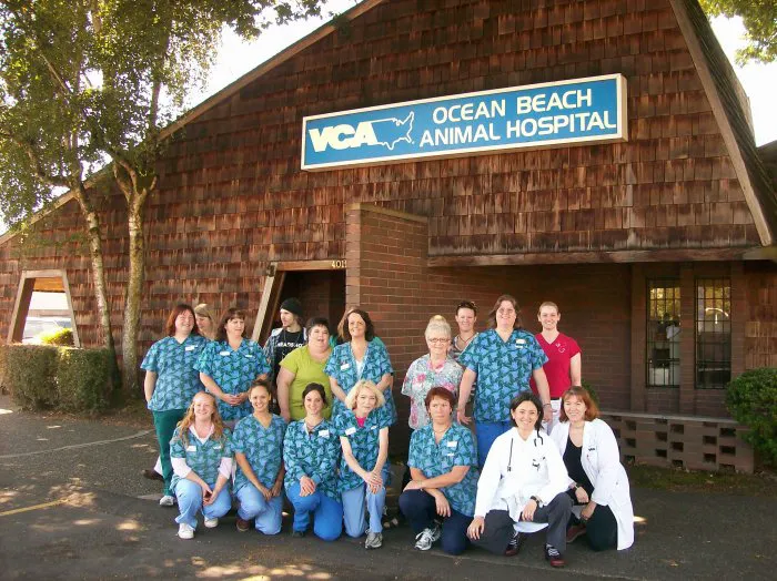VCA Ocean Beach Animal Hospital 10