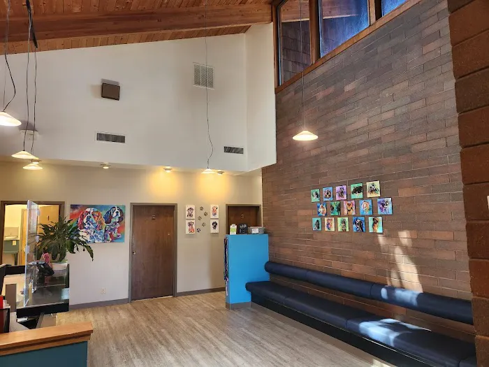 VCA Ocean Beach Animal Hospital 7