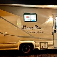 PippinDoc ico