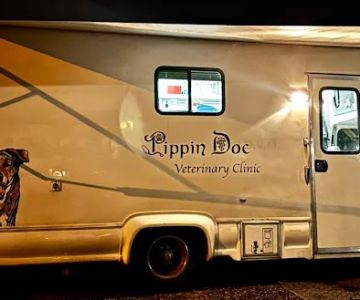 PippinDoc