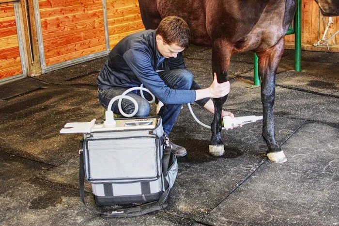 Columbia Equine Hospital 7