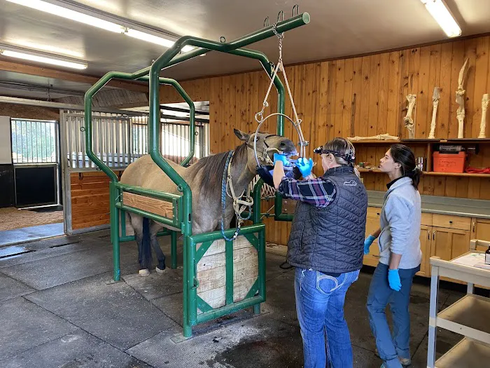 Columbia Equine Hospital 4