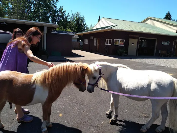 Columbia Equine Hospital 5