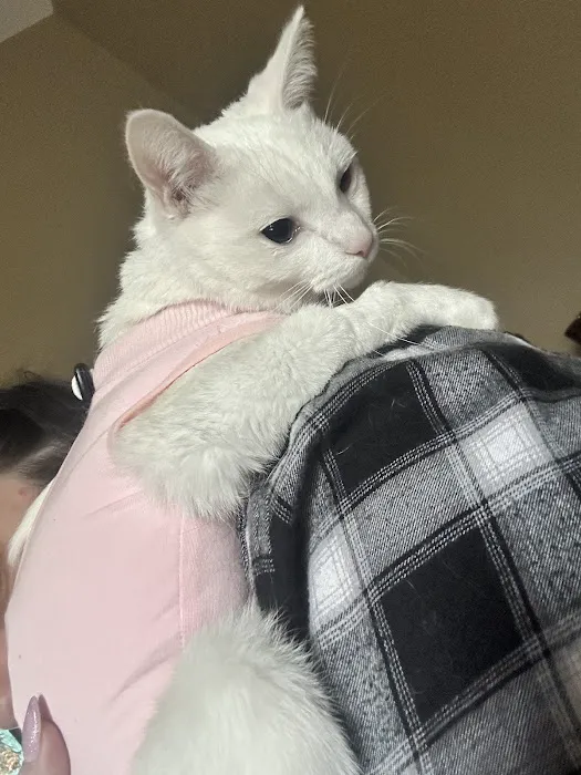 Banfield Pet Hospital 1
