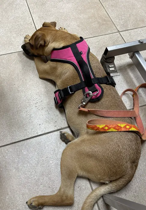 VCA Yorba Regional Animal Hospital 10