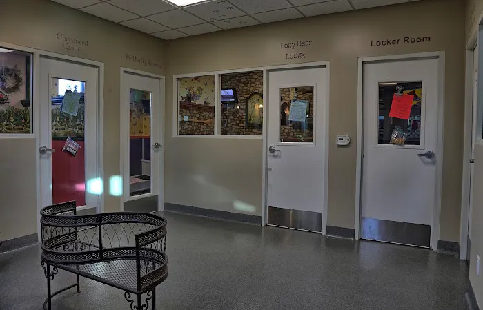 VCA Yorba Regional Animal Hospital 8