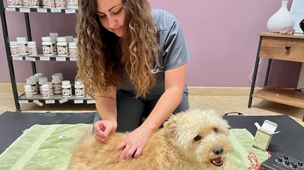 VCA Yorba Regional Animal Hospital 3