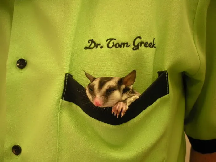 Greek and Associates Veterinary Hospital 2