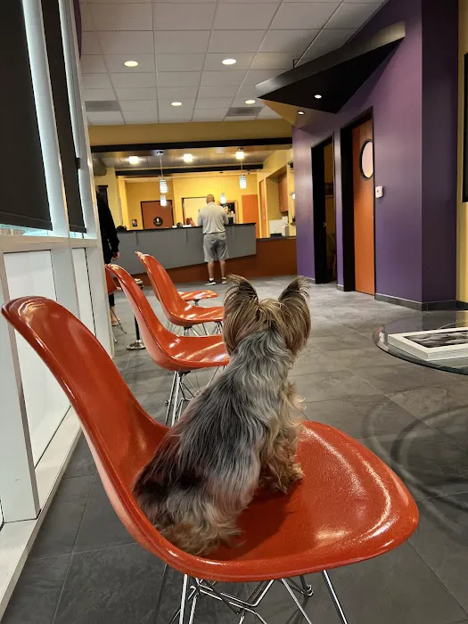 Greek and Associates Veterinary Hospital 3