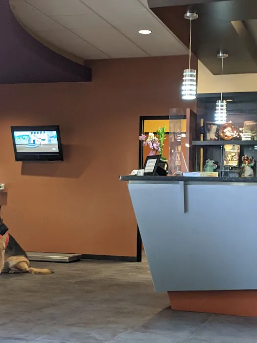 Greek and Associates Veterinary Hospital 6