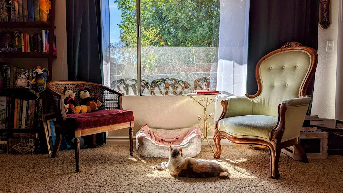 Greek and Associates Veterinary Hospital 7