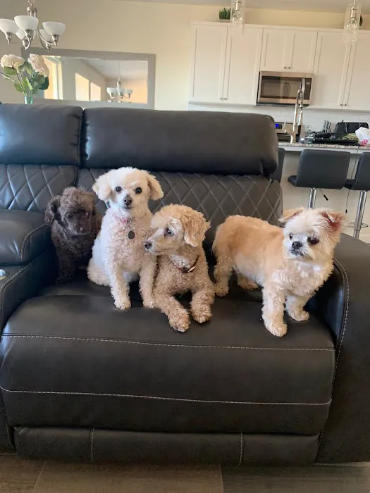 Sunrise Pet Hospital 8