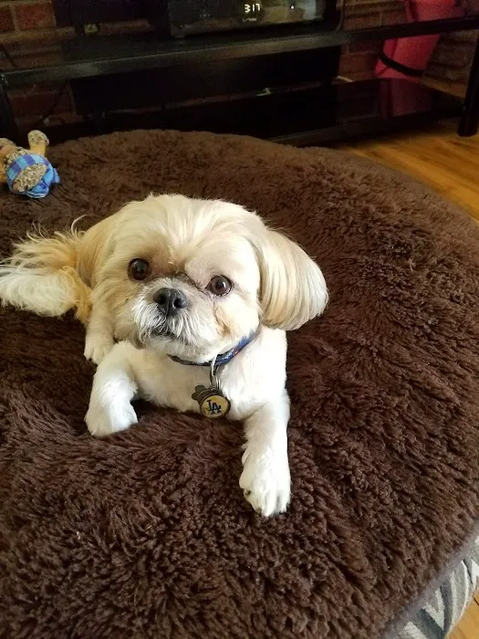 Sunrise Pet Hospital 7