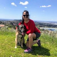 Sunrise Pet Hospital ico