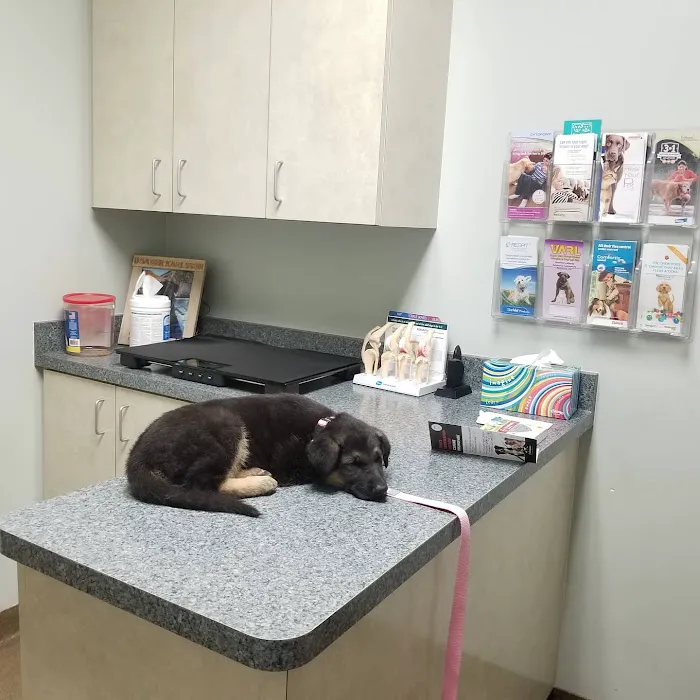 Sunrise Pet Hospital 2