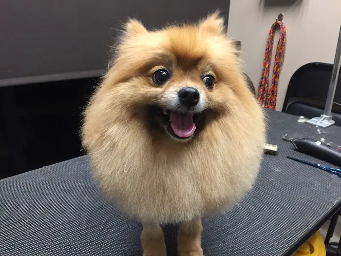 Anaheim Canyon Animal Hospital 3