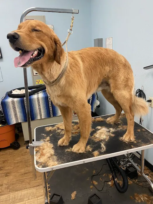 Anaheim Canyon Animal Hospital 9