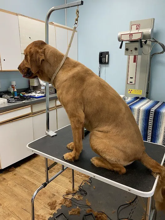 Anaheim Canyon Animal Hospital 7