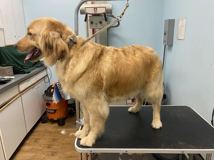 Anaheim Canyon Animal Hospital 2