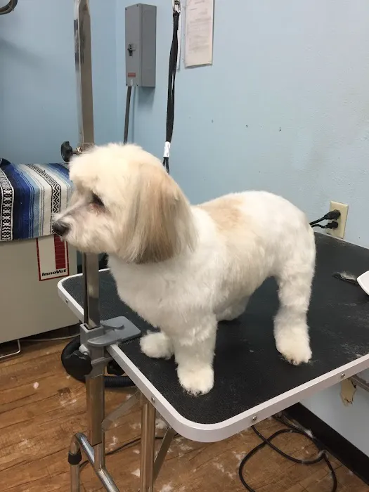 Anaheim Canyon Animal Hospital 5