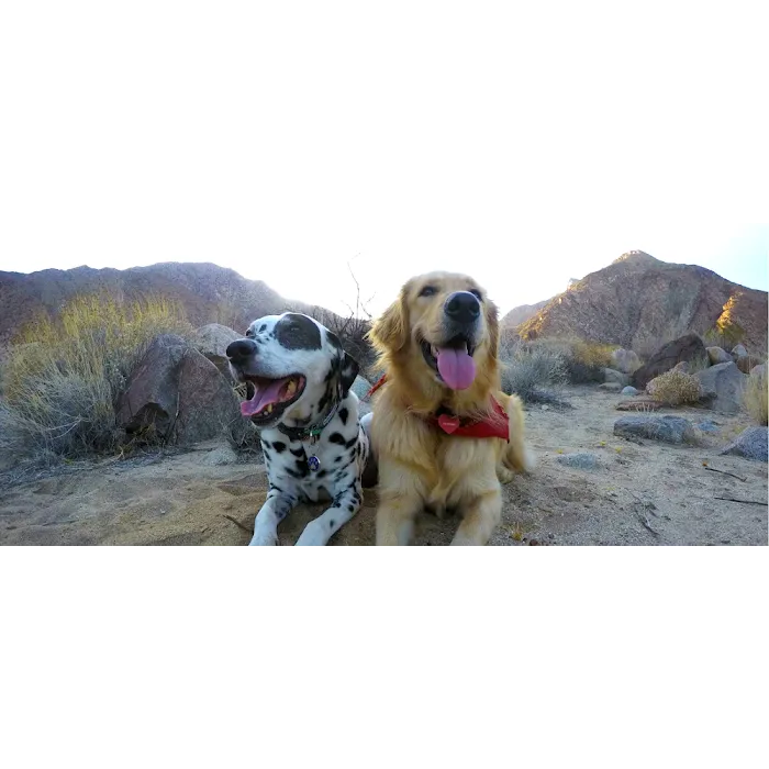 Corona del Mar Animal Hospital, A Thrive Pet Healthcare Partner 7
