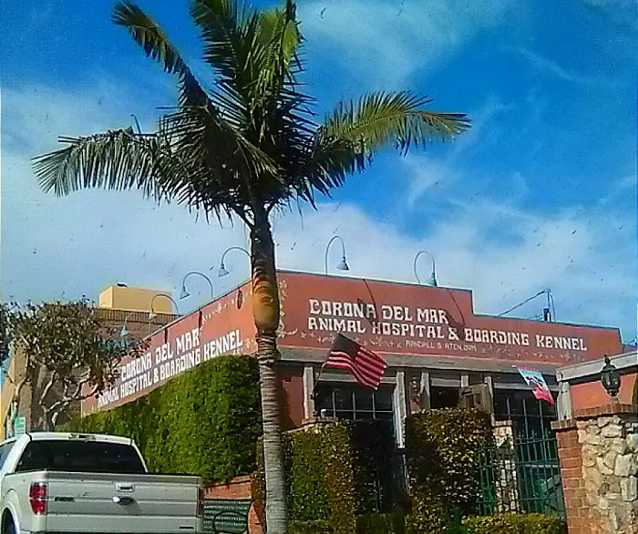 Corona del Mar Animal Hospital, A Thrive Pet Healthcare Partner 2