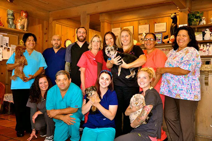 Corona del Mar Animal Hospital, A Thrive Pet Healthcare Partner 4