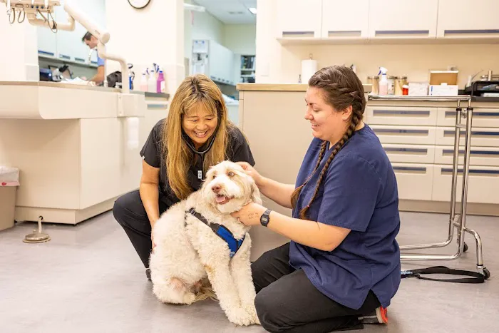 Newport Animal Hospital 7