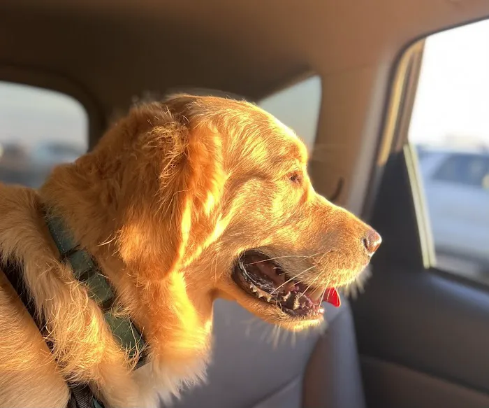 Newport Animal Hospital 4
