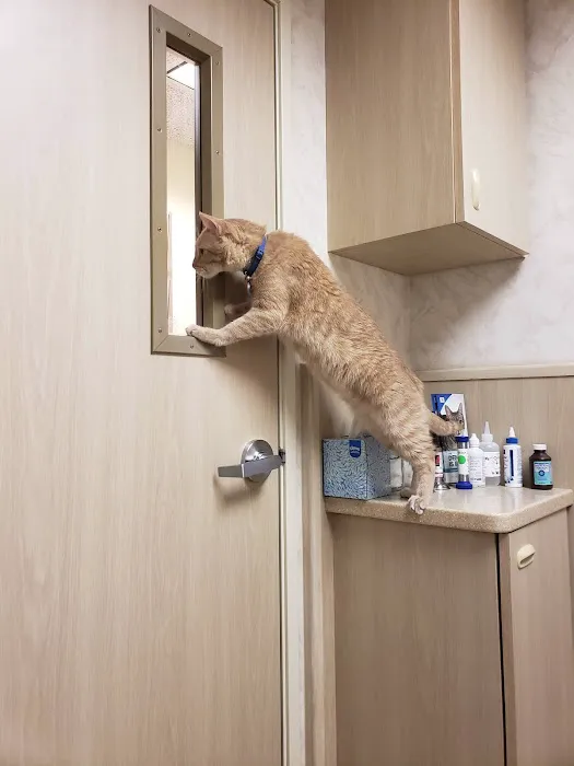 Newport Animal Hospital 1