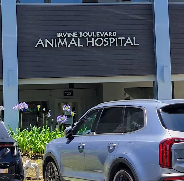 VCA Irvine Boulevard Animal Hospital 3