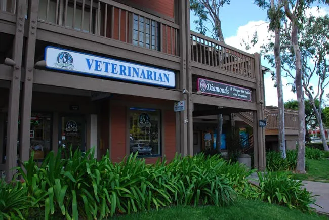 VCA Irvine Boulevard Animal Hospital 6