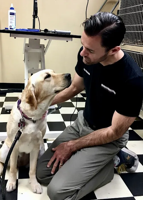 VCA Irvine Boulevard Animal Hospital 9