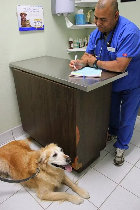 Northwood Animal Hospital 10