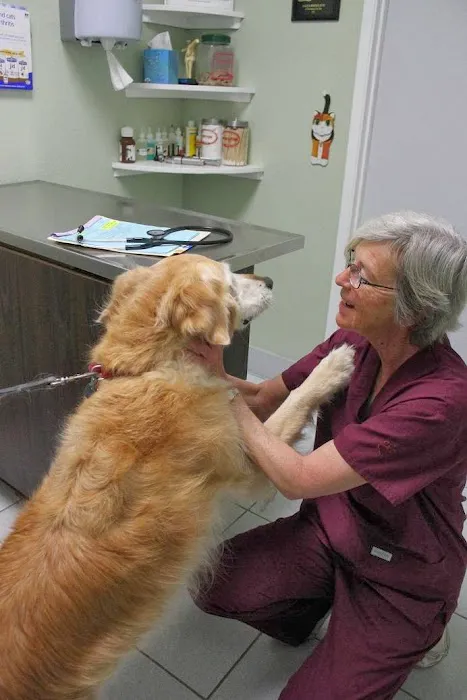 Northwood Animal Hospital 7