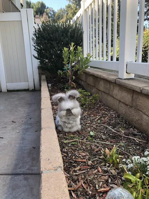 Northwood Animal Hospital 9