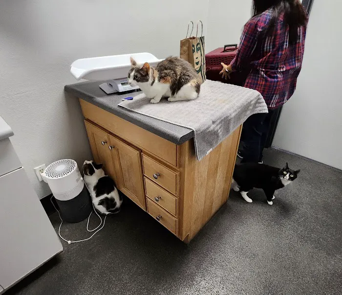 Northwood Animal Hospital 1