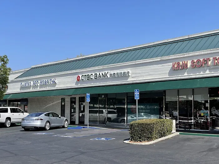 Camino Pet Hospital 4