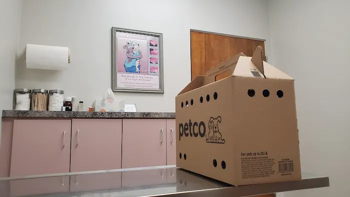 Camino Pet Hospital 8