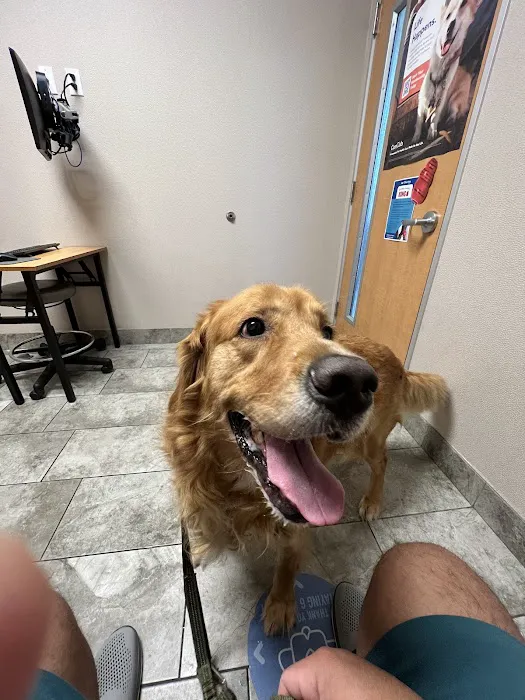 VCA Irvine University Park Animal Hospital 5
