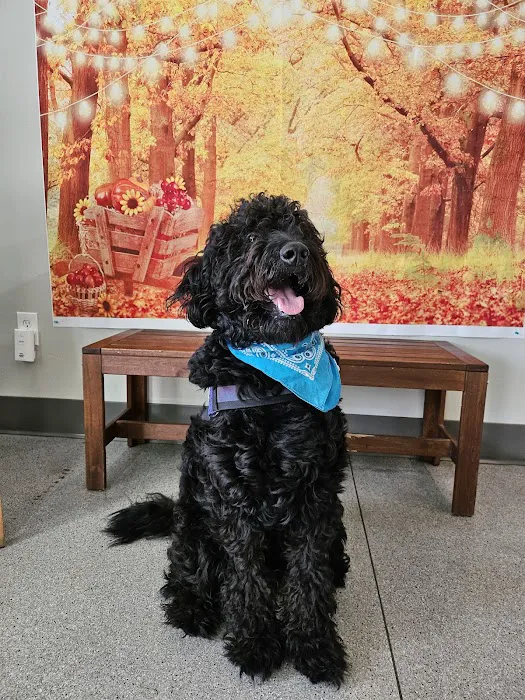 Irvine Valley Veterinary Hospital 8