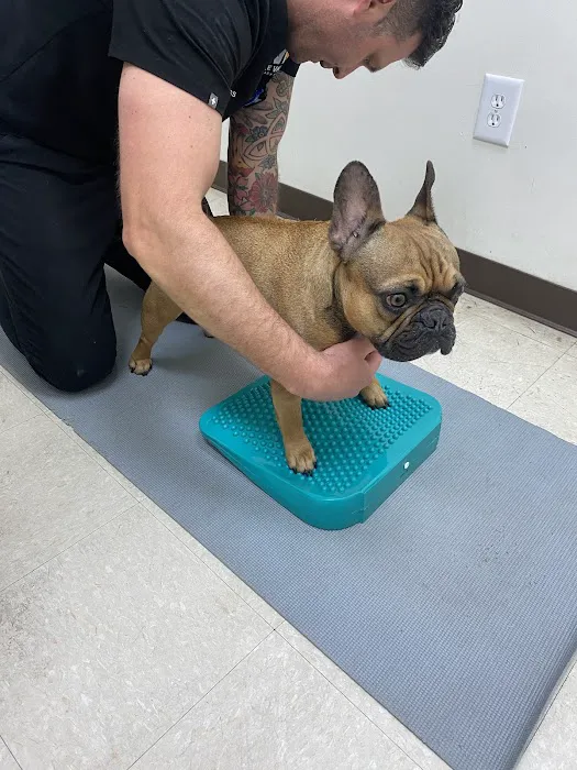 Irvine Valley Veterinary Hospital 1