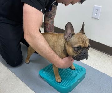 Irvine Valley Veterinary Hospital