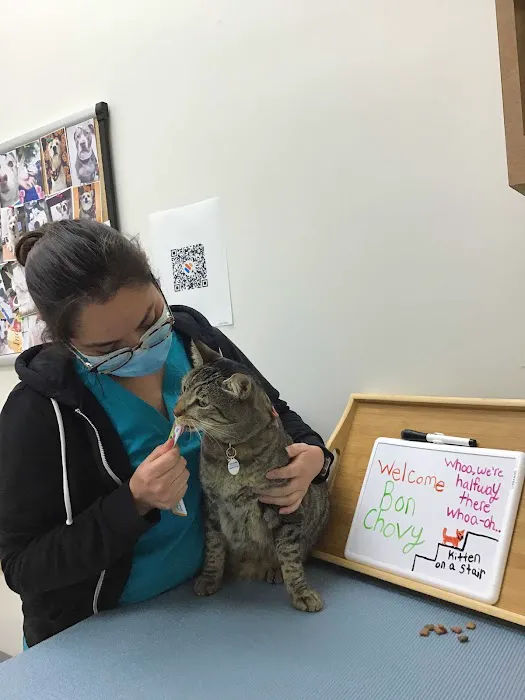 Irvine Valley Veterinary Hospital 3