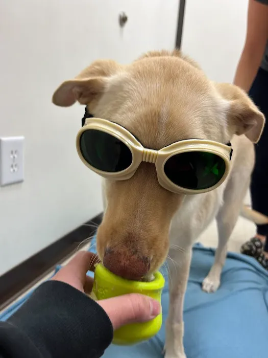 Irvine Valley Veterinary Hospital 4