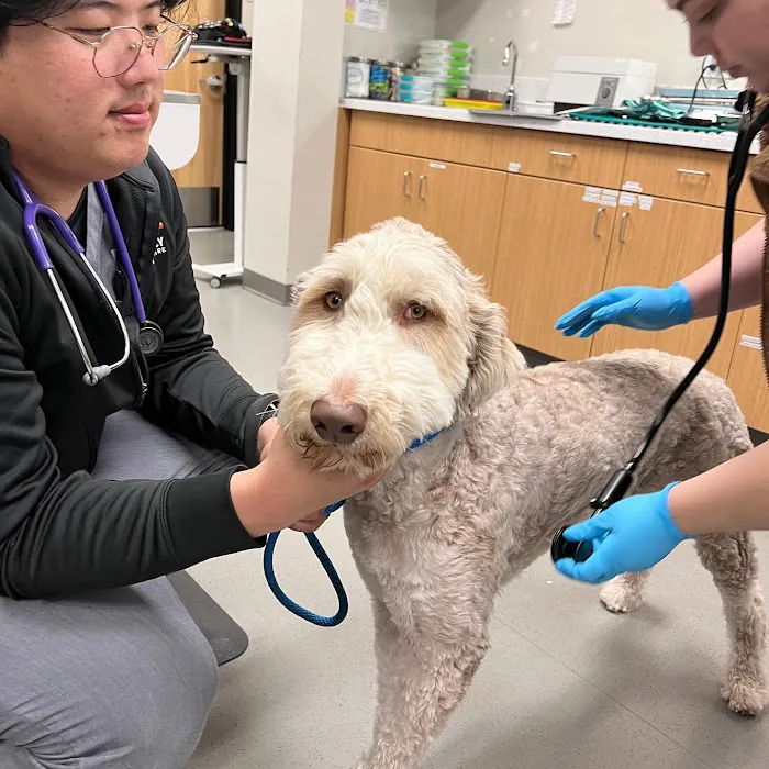 Irvine Valley Veterinary Hospital 7