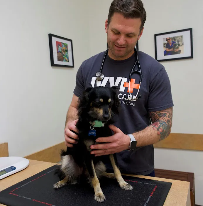 Irvine Valley Veterinary Hospital 6