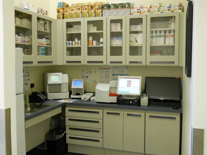 Quail Animal Hospital 1